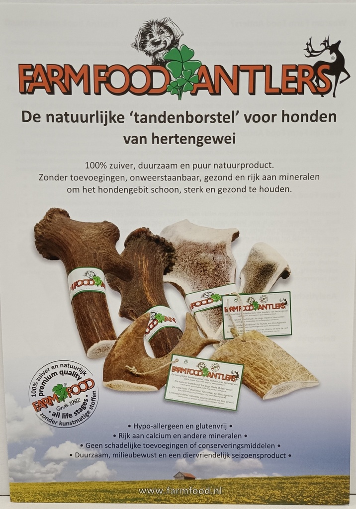 Folder Antlers NL