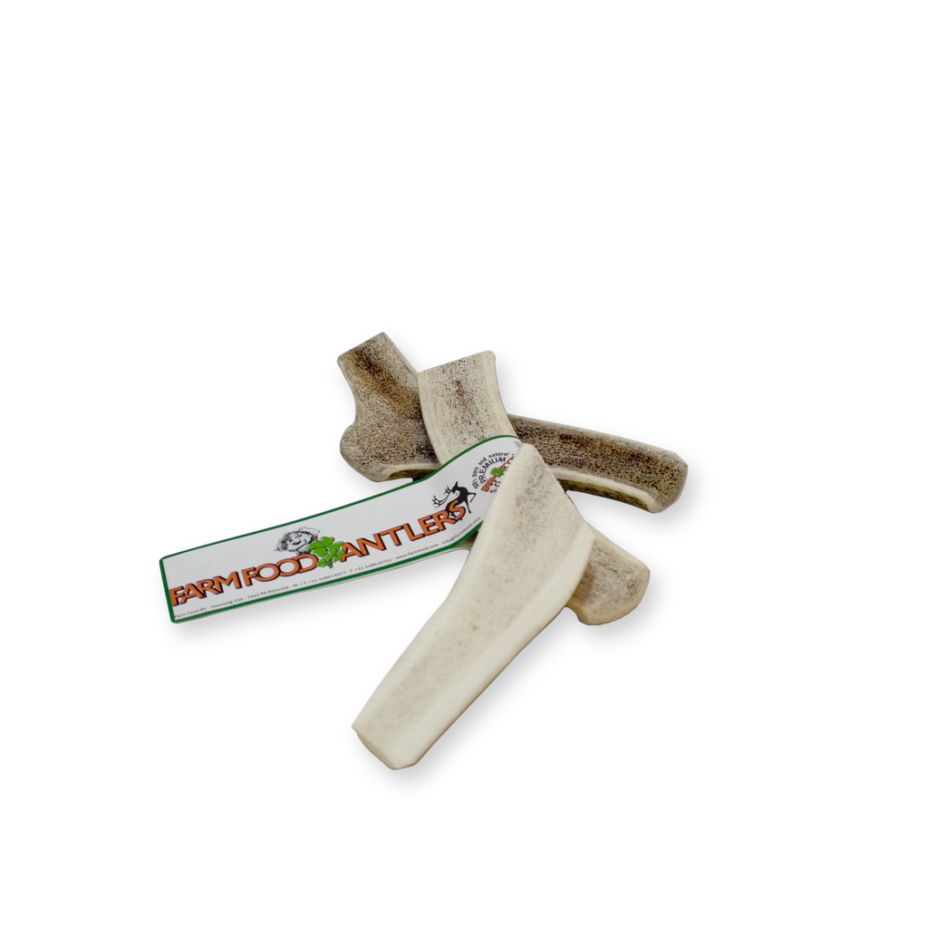 Antler Easy S (12 pcs)