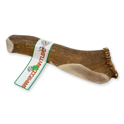 [16005-1] Antler XL (10 st)