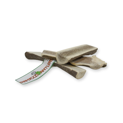 [16013-1] Antlers Easy M (12 st)
