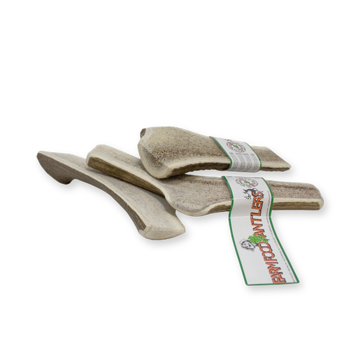 [16014-1] Antler Easy L (12 pcs)