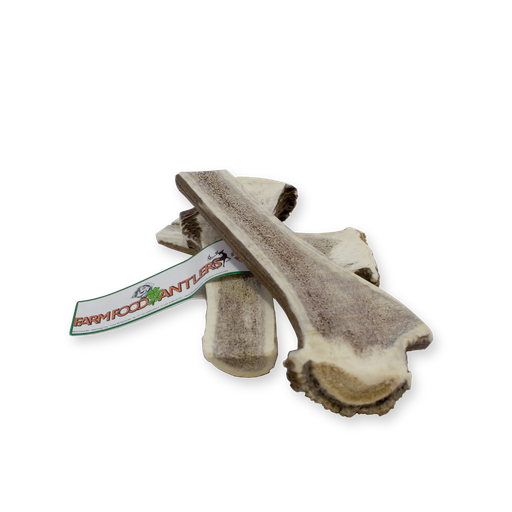 [16015-1] Antler Easy XL (10 st)